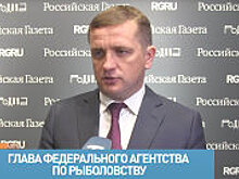 Дворкович: Правительство расширит поддержку экспорта рыбной продукции