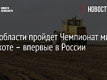 В Ленобласти пройдет Чемпионат мира по пахоте – впервые в России