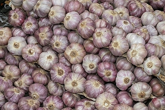 Специалист развеял миф о влиянии чеснока на иммунитет