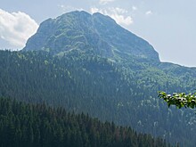Туроператоры сообщили о росте спроса на путевки в Черногорию