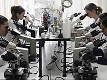 Биоинженеры сделали удивительное открытие в геномах клеток