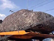 Лимузин проекта «Кортеж» показался на видео