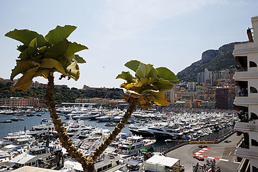 Раскрыты подробности роскошной жизни в Монако