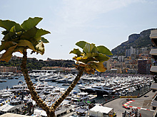 Раскрыты подробности роскошной жизни в Монако