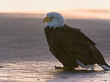 В TripAdvisor составили рейтинг лучших пляжей мира