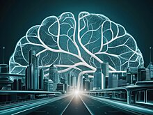 Исследование мозга поможет улучшить городское планирование