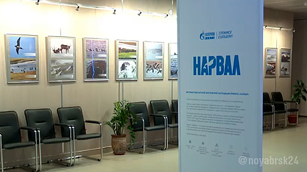 В Муравленко открылась выставка нефтяников о жизни морских единорогов
