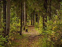 Между Литвой, Латвией и Эстонией проложат пешеходную тропу