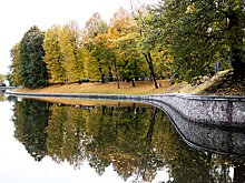 Уборка листвы и ошибки в озеленении: что обсуждали в новом выпуске подкаста «Говорит Калининград»