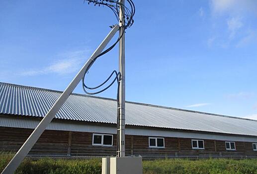 «Россети Центр и Приволжье Кировэнерго» обеспечил мощностями новые фермы по производству мясной и молочной продукции