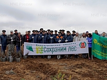 Пожарные Волгограда присоединились к акции «Сохраним лес»