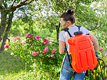 Как выбрать хороший аккумуляторный опрыскиватель для сада