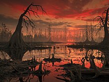 2000-летняя битва уничтожила экосистему болота Китая