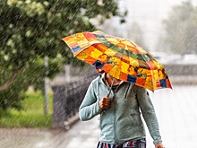 Похолодание до +18 градусов ожидаются на выходных в Новосибирске