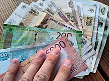 Депутат предложил мигрантам оплачивать свою депортацию из России заранее