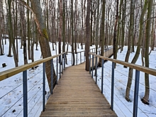 Плюсовые температуры вернутся в Приморье после суровых морозов: дата