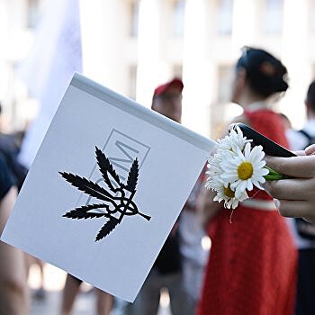 Легализация каннабиса: Зеленский делает Украину главным поставщиком наркотиков в Европу и США