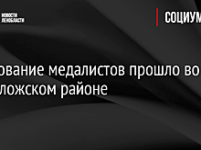 Чествование медалистов прошло во Всеволожском районе