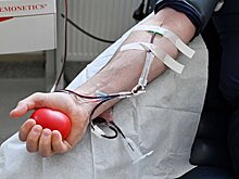 Директор центра "Авангард" Дарья Борисова напомнила о важности донорства