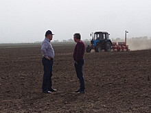 Аграрии Дона подходят к экватору весенней посевной