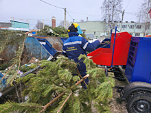 В Тамбовской области по акции «Елки, палки и щепа» переработано 152 кубометра новогодних ёлок
