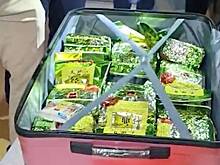 Туристу с чемоданом метамфетамина в Таиланде грозит казнь