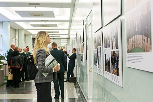 В Красноярске пройдет региональный этап Национального лесного форума