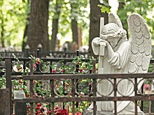 Похоронную сферу в Подмосковье отдают в ведение выходца из управления «М» ФСБ