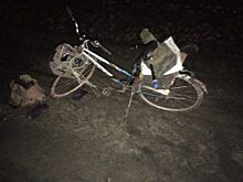 На трассе Орёл-Тамбов Renault Premium «догнал» велосипедиста