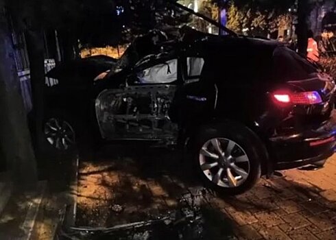 21-летний водитель Infiniti снес пальму в Сочи