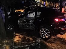 21-летний водитель Infiniti снес пальму в Сочи