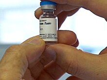 Власти Москвы заявили о скором поступлении интраназальной вакцины "Спутник Лайт"