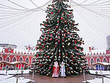 Москвичей пригласили на новогодние представления во дворец царской семьи