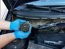 Нужно ли чистить дренажные отверстия в автомобиле