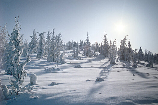 В Якутии запустят туристический маршрут на Полюс холода