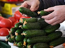 Россиян обрадовали сильным падением цен на огурцы
