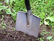 Россиянин-некрофил выкопал тело умершей женщины для съемок видео в даркнете