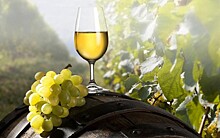 Крымские виноделы призывают к обособлению