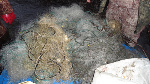 За две недели рязанские браконьеры выловили более 74 кг рыбы