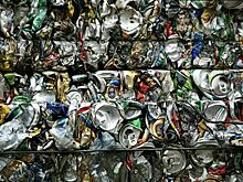 Для мусора подыскали место и время