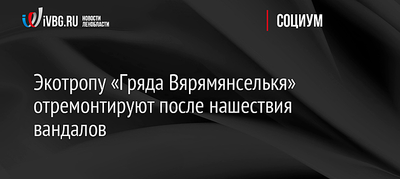 Экотропу «Гряда Вярямянселькя» отремонтируют после нашествия вандалов