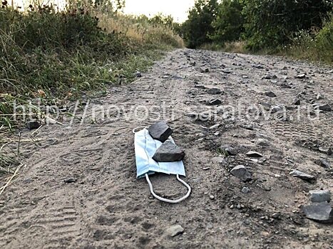 СК проверяет действия чиновников во время вспышки «мышиной лихорадки» в Саратове