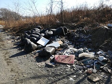 Один из пляжей Владивостока завалили строительным и бытовым мусором