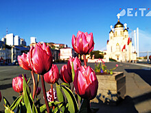 МТС ускорила интернет в центре Владивостока к летнему сезону