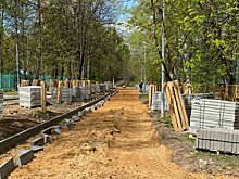 Обновленная «Аллея вязов» станет новой точкой притяжения зеленоградцев