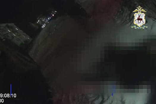 В Дзержинске мужчина забил случайно встреченную на улице экс-коллегу из-за ссоры