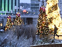 Москвичам ответили на вопрос о снеге на Новый год