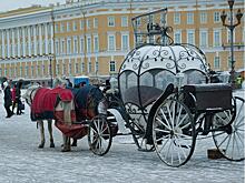 Петербург стал самым популярным российским направлением на 14 февраля