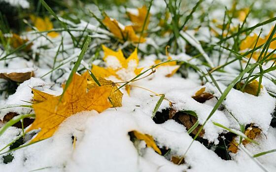 Гидрометцентр: половина России уже покрыта снегом