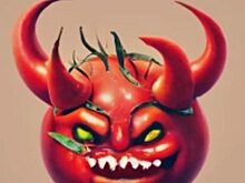 Дьявольский помидор приехал в импортных семенах чиа